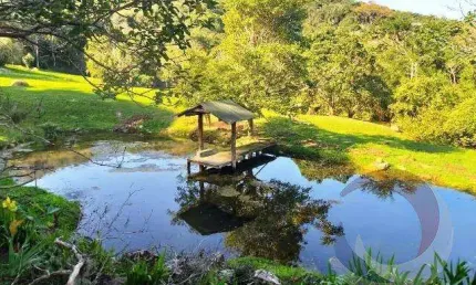 Sítio para Venda em Florianópolis, Pântano do Sul, 5 dormitórios, 1 suíte, 3 banheiros, 2 vagas