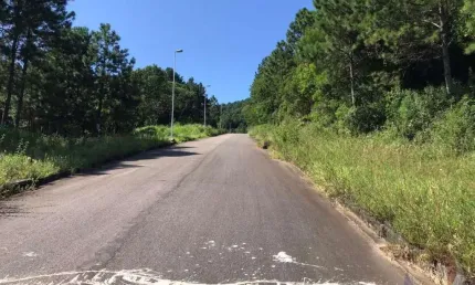 Terreno à venda na Rodovia Admar Gonzaga, Itacorubi, Florianópolis