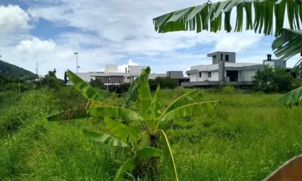 Terreno para venda em florianópolis, lagoa da conceição