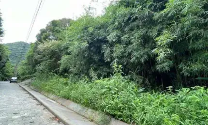 Terreno para venda em florianópolis, pântano do sul