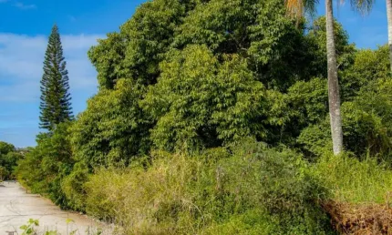 Terreno para Venda em Florianópolis, Lagoa Da Conceição