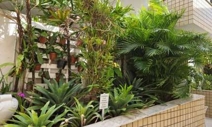 Apartamento para Venda em Florianópolis, Coqueiros, 3 dormitórios, 1 banheiro, 1 vaga