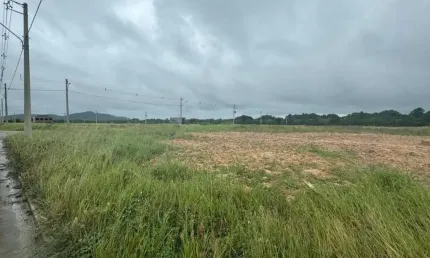 Terreno para venda em florianópolis, vargem do bom jesus