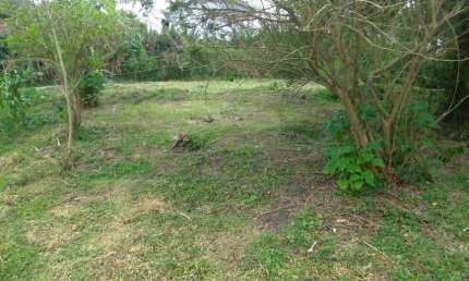 Terreno para Venda em Florianópolis, Morro das Pedras