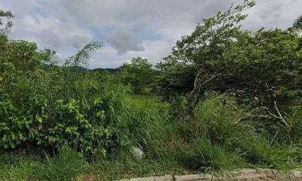 Terreno à venda na Rua do Lamim, Canasvieiras, Florianópolis