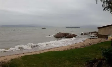 Terreno à venda na Rodovia Gilson da Costa Xavier, Sambaqui, Florianópolis