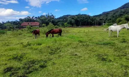 Chácara / sítio à venda na Rua Bento Manoel Ferreira, 1892, Ratones, Florianópolis