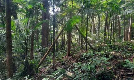 Terreno para Venda em Florianópolis, Pântano do Sul
