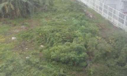 Terreno à venda na Rodovia Armando Calil Bulos, 1, Ingleses, Florianópolis