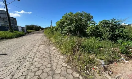 Terreno à venda na Rua Saul Silveira Penha, 1, Carianos, Florianópolis