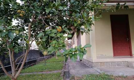 Terreno à venda na Rua Luiz Pasteur, 233, Trindade, Florianópolis