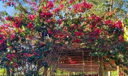 Sítio à venda em Juquitiba  com 2 casas e salão de festas.
