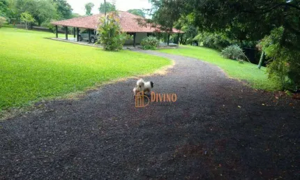 Fazenda à venda, 150 Alqueires por R$ 25.000.000 - Zona Rural - Ortigueira/PR