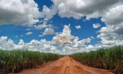 Fazenda à venda região de Adamantina, 274alq R$ 52.060.000 - Pacaembu - Pacaembu/SP