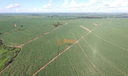 Fazenda à venda, 263 Alqueires por R$ 51.000.000 - Zona Rural - Mirandópolis/SP