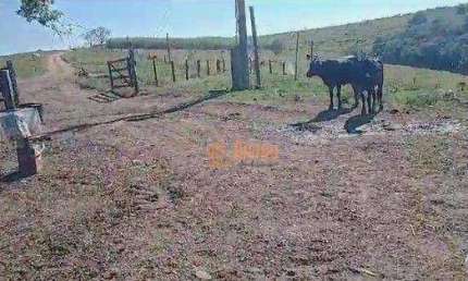 Fazenda à venda, 67 Alqueires por R$ 16.000.000 - Área Rural - Itapetininga/SP