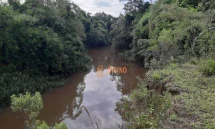 Sítio à venda, 12 Alqueires por R$ 1.440.000 - Zona Rural- Capela do Alto/SP