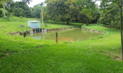 Sítio à venda, 43 Hectares por R$  3.500.000,00  - Marília/SP