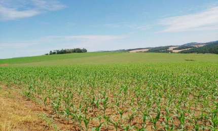 Fazenda à Venda em Itaporanga, SP - 270 Alqueires Oportunidade Única!