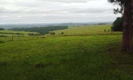 Fazenda Pecuária à Venda em Riversul, SP 285 Alqueires - Oportunidade Única!
