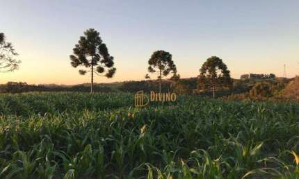 Sítio à venda, 11 Alqueires por R$ 1.650.000 - Das Congonhas - Sarapuí/SP