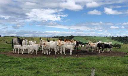 Fazenda à venda, 87 Alqueires por R$ 22.000.000 - Alambari/SP