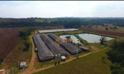Sítio à venda, 8 Alqueires por R$ 15.000.000 - Cesario Lange - Cesário Lange/SP