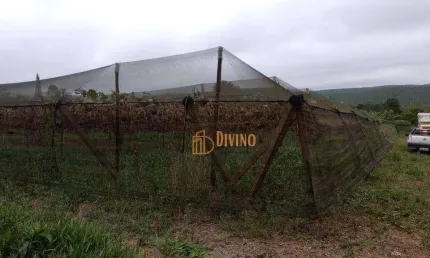 Sítio à venda, 82280 m² por r$ 700.000 - abaitinga - são miguel arcanjo/sp
