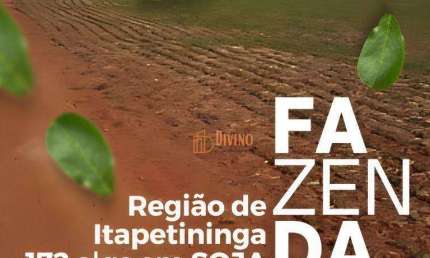 Fazenda à Venda 205 alqs com 172 em SOJA à venda, por R$ 62.000.000 - Região de Itapetininga/SP