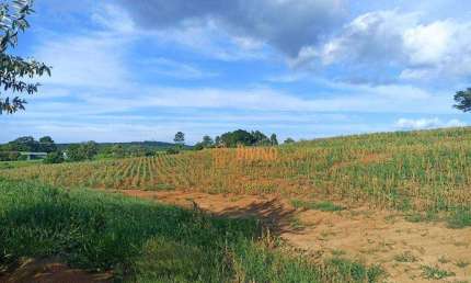 Sítio à venda, 11,7 Alqueires por R$ 3.000.000 - Zona Rural - Tatuí/SP