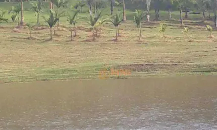 Fazenda à venda, 50 alqueires por r$ 8.500.000 - zona rural - piedade/sp