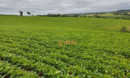 Chácara / sítio à venda na Rodovia Nestor Fogaça, Zona Rural, Pilar do Sul