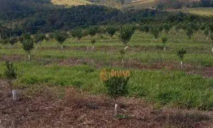 Chácara / sítio à venda na Estrada Municipal São Miguel Arcanjo, Centro, São Miguel Arcanjo