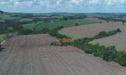 Fazenda à venda na Estrada Vicinal Maestro Benedito Pompeu de Jesus, 3, Área Rural de Itapetininga, Itapetininga