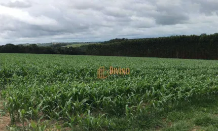 Chácara / sítio à venda na Rodovia Est. Municipal De Sarapui, 8, Zona Rural, Sarapuí