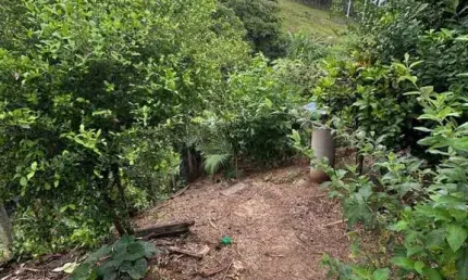Casa com 2 dormitórios à venda, 58 m² por r$ 250.000,00 - cobre - canelinha/sc