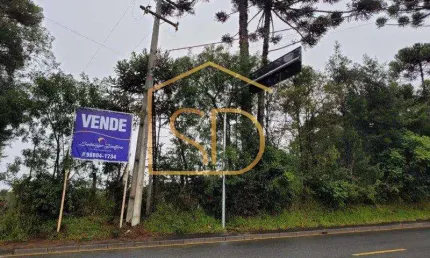 Ótimo Investimento - Área com 5 Alqueires , à venda em São José dos Pinhais, Costeira