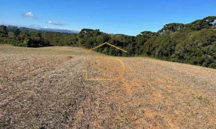 Espetacular Área Rural no Caminho do Vinho, 21.000m², à venda em São José dos Pinhais, Colônia Murici