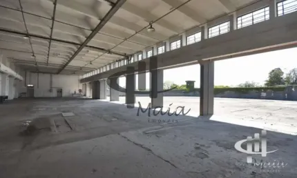 Barracão / Galpão / Depósito para alugar na Presidente Altino, Av, Jaguaré, São Paulo