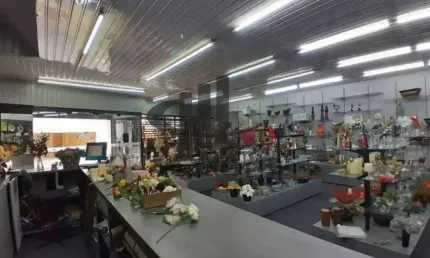 Venda Prédio Comercial Sao Caetano do Sul Santa Paula Ref: 42244