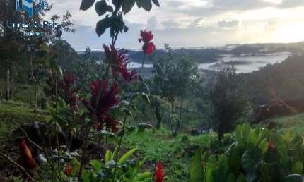 GRANDE OPORTUNIDADE DE ADQUIRIR EXCELENTE FAZENDA COM PREÇO IMPERDÍVEL NA REGIÃO SUL DA BAHIA!!