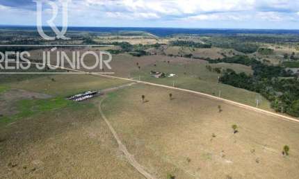 Fazenda de 1.240 hectares à venda em Mascote-BA: sua oportunidade de investimento no campo!