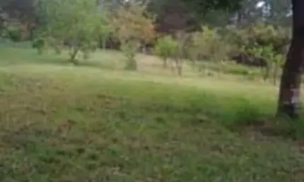 Chácara / sítio à venda na Rua Pintor Di Cavalcanti, Chácara Itamarati, Caçapava