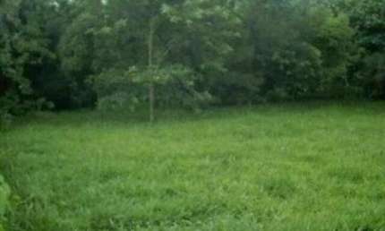 Alphaville Campinas - Terreno-em-Condominio-para-Venda-em-Loteamento-Alphaville-Campinas-Campinas-SP