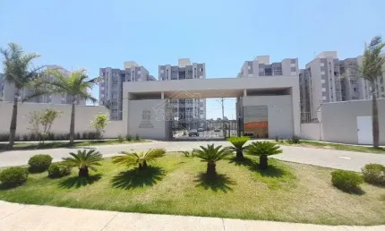 Apartamento com 2 quartos para alugar no jardim são rafael i, araraquara , 47 m2 por r$ 800