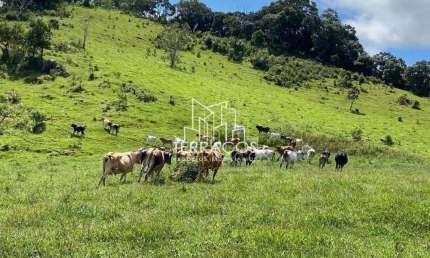Sítio Rural à venda, Bairro Monjolinho Centro, Itapeva - SI0002.