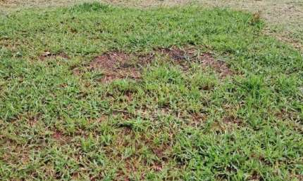 TERRENO À VENDA – EXCELENTE LOCALIZAÇÃO – BAIRRO CHÁCARAS SANTA MARTHA – VÁRZEA PAULISTA SP