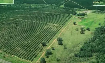 Fazenda à venda no bairro doutor paulo prata - barretos/sp