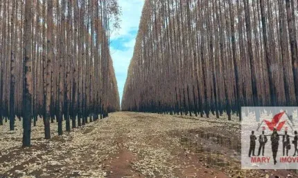 Fazenda à venda no Centro, Várzea da Palma 