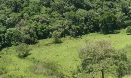 Fazenda à venda no Centro, Caldas 